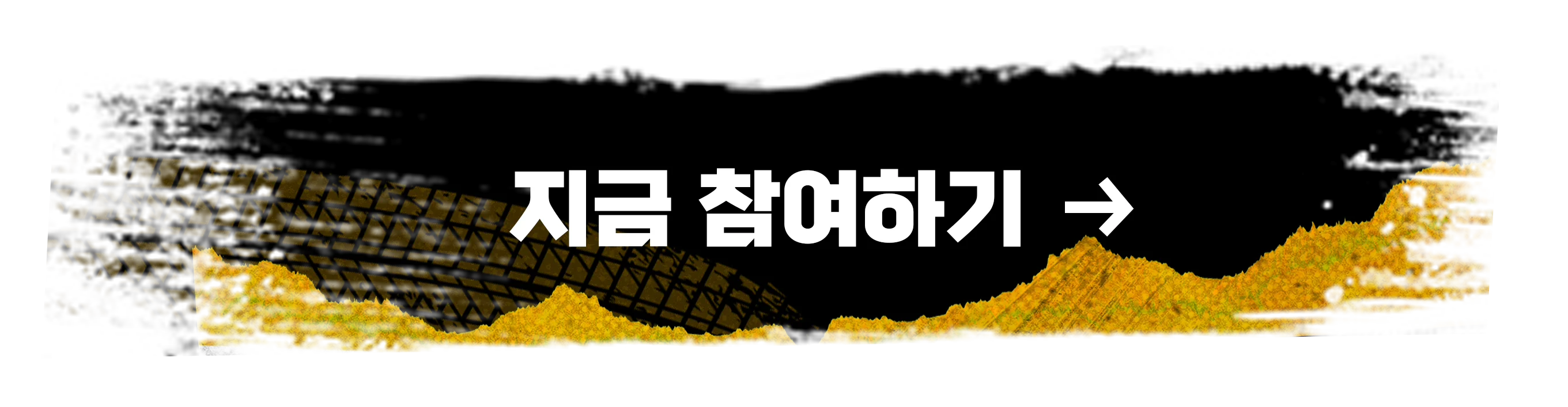 지금 참여하기